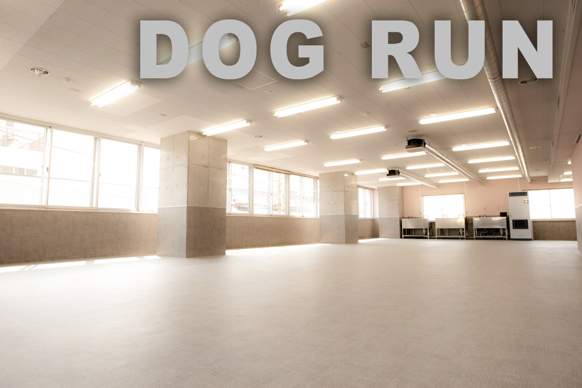 Dog Run